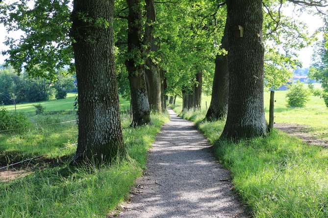 Dragon Slayer Way Beer Hike Food Experience Private Tour (departs Munich) - Meeting at Munich Hauptbahnhof at 9:00 a.m.
