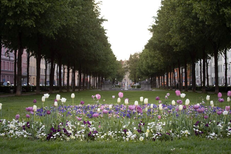 Munich: 3-Hour Food Tour Through Haidhausen in GERMAN - What the German-language format means