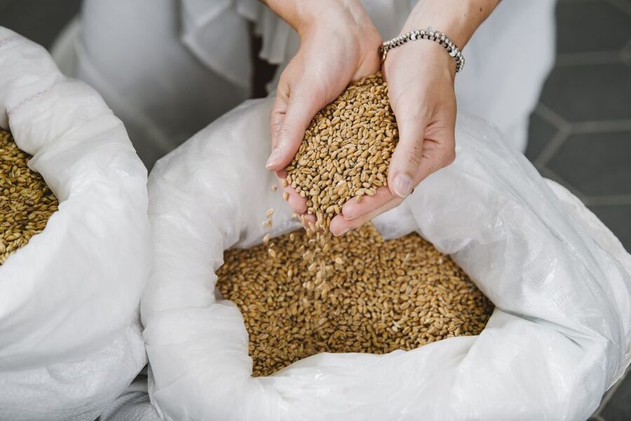 Munich: Hands-On Brewery Tour & Tasting of 4 Organic Beers - Meeting the People Behind the Beer