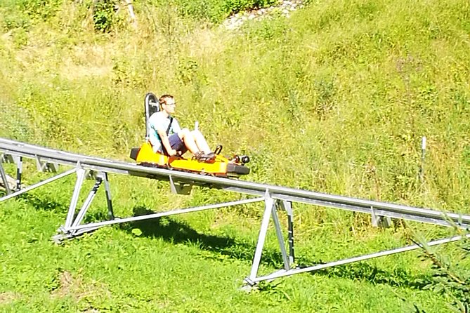 Munich private Car & Walking Tour incl. BMW World & River Surfers - Who will get the most from this day