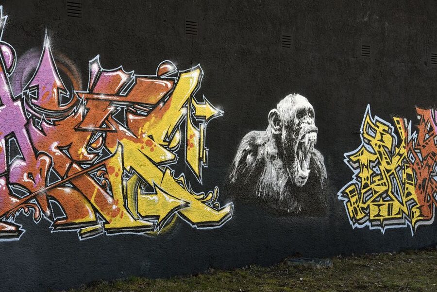Munich: Street Art Bike Tour - The slaughterhouse district and a pause on a boat