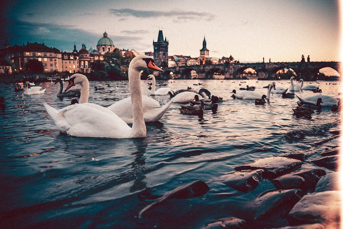Munich to Prague - Private Transfer with 2 hours of Sightseeing - Pilsen and the brewery option