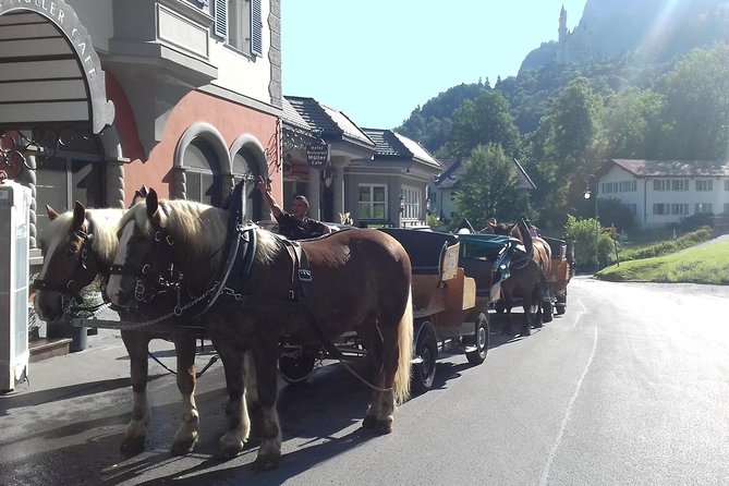 Neuschwanstein and Hohenschwangau Exclusive Skip-the-Crowds Tour - Plansee, Füssen, and Oberammergau