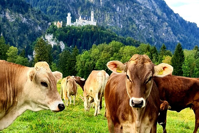 Neuschwanstein Castle, Ettal Abbey and Oberammergau Private Tour from Munich - Should you book this tour?