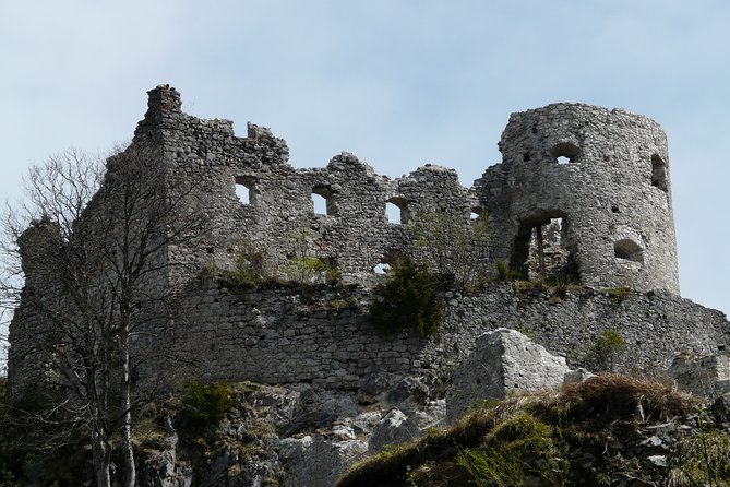 Private Tour of Neuschwanstein Castle & Highline 179 from Munich - Who should book this tour?