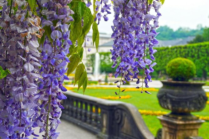 Private Transfer from Munich to Salzburg, English-speaking driver - Who should book this transfer?