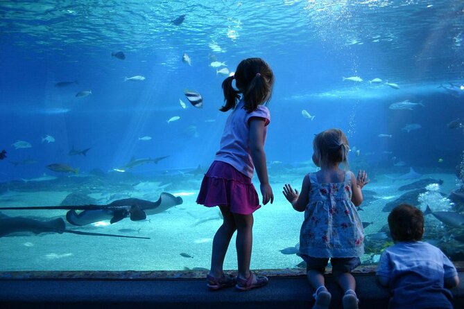 SEA LIFE Munich Admission Ticket - Key points to know before you go