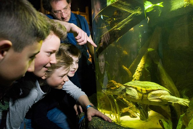 SEA LIFE Munich Admission Ticket - Sharks take center stage at SEA LIFE Munich