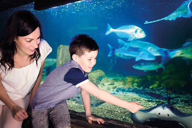 SEA LIFE Munich Admission Ticket - How long should you allow?