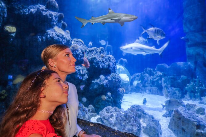 SEA LIFE Munich Admission Ticket - From the Danube Delta to tropical seas
